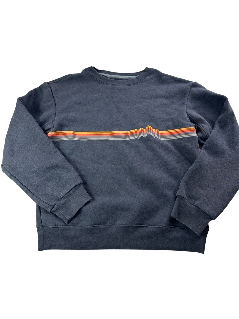 Patagonia Sweatshirt Earth Tone Stripe Design